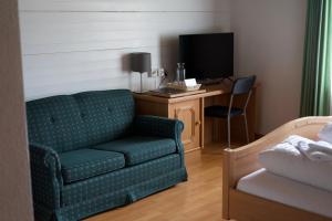 TV a/nebo společenská místnost v ubytování Vögeli Alpenhotel Malbun