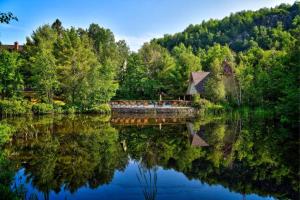 a bridge over a body of water with trees at Plateau D - Mont-Tremblant in Mont-Tremblant