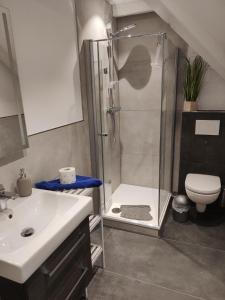 ブットヤーディンゲンにあるGesamte Wohnung in Burhaveのシャワー、トイレ、洗面台を備えたバスルーム