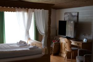 TV a/nebo společenská místnost v ubytování Vögeli Alpenhotel Malbun