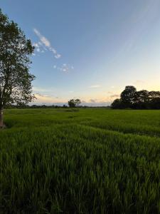 Paesaggio naturale nelle vicinanze dell'affittacamere