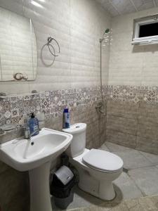 Vannituba majutusasutuses Barakat Hotel