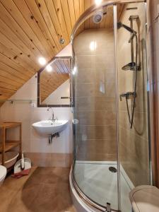a bathroom with a shower and a sink at Helios in Dębki +71 photos