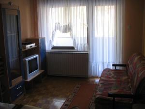a living room with a couch and a tv and a window at Apartment Milan in Zreče