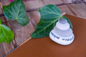 a rock sitting on a table next to a leaf at Apanema Mindfulness Resort Lefkada - ultra fast Starlink WiFi in 2025 in Asprogerakata