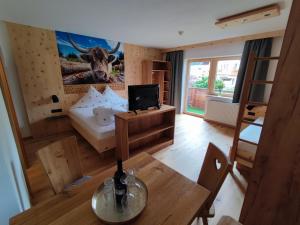 TV a/nebo společenská místnost v ubytování Apart Hotel Ideal