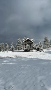 Cozy Cabins with a mountain view 2A durante el invierno