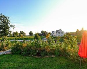 Zahrada ubytování Ferienhaus Seenixe mit Kamin und Wasserblick + 4 fotografie