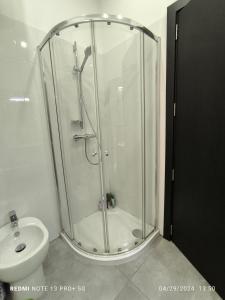 a shower in a bathroom with a toilet and a sink at One bedroom TEA apartment Il-Gzira in Il-Gżira