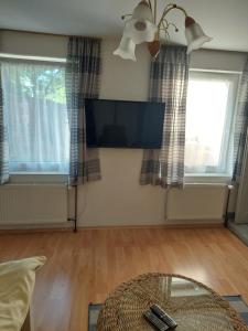 TV a/nebo společenská místnost v ubytování Apartmá U rybníčku