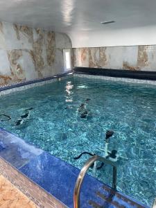 Bazén v ubytování Isly Golf Hotel nebo v jeho okolí