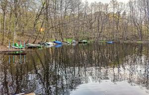 Príroda v okolí dovolenkového domu