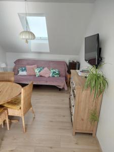 TV a/nebo společenská místnost v ubytování Apartmá U rybníčku