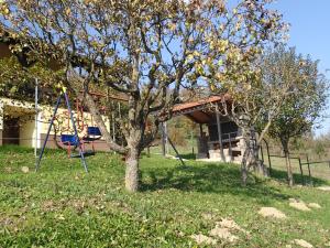 Vonkajšia záhrada v ubytovaní Holiday Home Dora