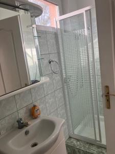 a bathroom with a sink and a shower with a glass door at Tőserdei Vendégház in Lakitelek +11 photos