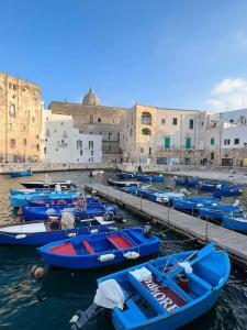 a group of boats docked in a harbor with buildings at Trullo dell'Upupa in Ostuni