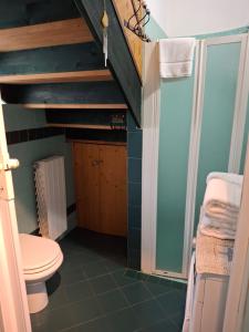 a bathroom with a toilet and a shower at Il nido di Agnese in Garda +26 photos