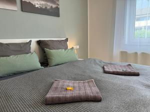 DornstettenにあるCloudCabins Dornstetten - Brunnenbergの枕が2つ置かれたベッド