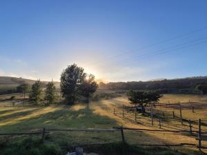 a field with a fence and trees in a field at Kleinwatervalplaas Farm Stay Accomodation in Caledon