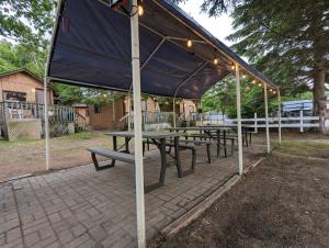 a group of picnic tables under a tent at Tiny Wood Cottage 05 in Wasaga Beach +3 photos
