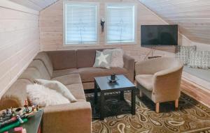 a living room with a couch and chairs and a tv at 3 Bedroom Beautiful Home In Åseral in Åseral