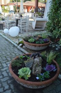 Zahrada ubytování Hotel Le Vigne di Corvino