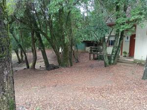 Foto dalla galleria di Cabañas La Leona a Vilches