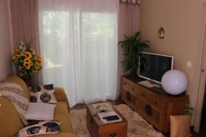 TV a/nebo společenská místnost v ubytování La maison de Robin's