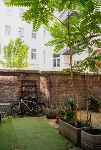 A garden outside The Beautiful Italian Suit