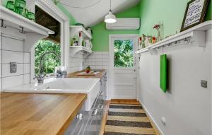 a kitchen with a large white sink and green walls at Holiday Home Sølvpoppelvej Væggerløse X in Marielyst