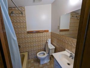un bagno con un water, un lavandino e uno specchio di Tiny Wood Cottage 06 a Wasaga Beach