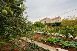 Vườn quanh Holiday house with a parking space Kastel Stafilic, Kastela - 23408