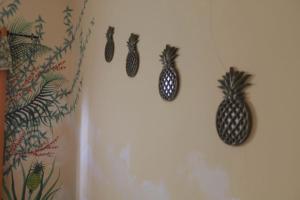 Fotografie z fotogalerie ubytování Cataleya Hostel v destinaci Bocas del Toro