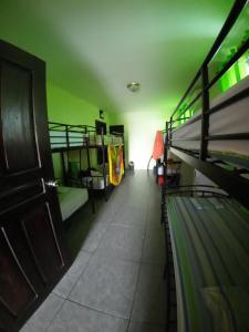 Palanda nebo palandy na pokoji v ubytování Cataleya Hostel