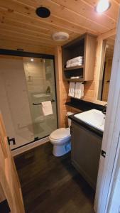 a bathroom with a shower and a toilet and a sink at Cozy Cabin By Forest View 4B in Williams