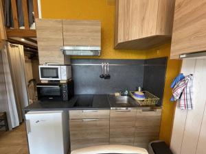 Η κουζίνα ή μικρή κουζίνα στο Studio rénové au pied des pistes, idéal pour 4 pers, avec WiFi, animaux acceptés, casier à skis inclus - FR-1-787-54