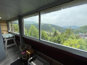 ein Zimmer mit großen Fenstern mit Blick auf die Berge in der Unterkunft Appartement T2 cabine avec balcon, accès piste, parking, animaux bienvenus - FR-1-787-69 in Laveissière