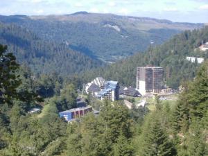 eine Stadt mitten in einem Tal mit Bäumen in der Unterkunft Charmant T2 près des pistes avec équipement bébé, casier à skis, animaux non admis - FR-1-787-68 in Laveissière