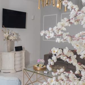 TV a/nebo společenská místnost v ubytování Hotel OR Suite
