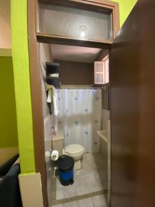 a small bathroom with a toilet and a shower at Casa La Castañeda in Loreto +29 photos