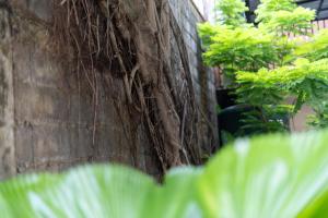 ภาพในคลังภาพของ Baan Old Town Boutique Stay, Phuket Town ในเมืองภูเก็ต