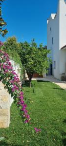 Zahrada ubytování Villa Guajira