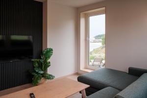Μια τηλεόραση ή/και κέντρο ψυχαγωγίας στο Sommarøya Beach Apartment