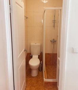 a bathroom with a toilet and a shower at Prizba Tomas One in Blato