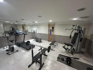 a gym with several exercise equipment in a room at Boutique Hotel Sopianae in Pécs