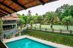 Bassein majutusasutuses Fern Tree Resort või selle lähedal