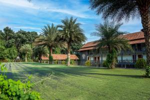 Zahrada ubytování Fern Tree Resort
