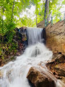 Afbeelding uit fotogalerij van Polatagama Jungle Eco Resort in Polatagama