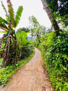 Afbeelding uit fotogalerij van Polatagama Jungle Eco Resort in Polatagama