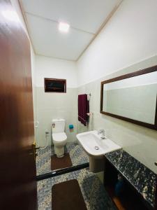 PolatagamaPolatagama Jungle Eco Resort的浴室里有洗手池、马桶和镜子。 更多14张照片